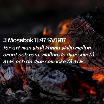 Picture 02 - 3 Mosebok 11:47 SV1917 - för att man skall kunna skilja mellan orent och - Bible Verse Picture