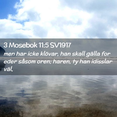 Picture 02 - 3 Mosebok 11:5 SV1917 - men har icke klövar, han skall gälla for eder - Bible Verse Picture