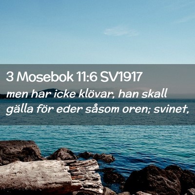 Picture 02 - 3 Mosebok 11:6 SV1917 - men har icke klövar, han skall gälla för eder - Bible Verse Picture