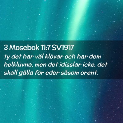 Picture 02 - 3 Mosebok 11:7 SV1917 - ty det har väl klövar och har dem helkluvna, - Bible Verse Picture