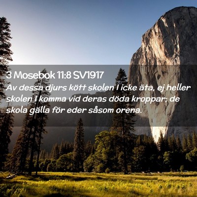 Picture 02 - 3 Mosebok 11:8 SV1917 - Av dessa djurs kött skolen I icke äta, ej - Bible Verse Picture