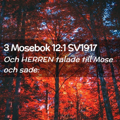 Picture 02 - 3 Mosebok 12:1 SV1917 - Och HERREN talade till Mose och - Bible Verse Picture