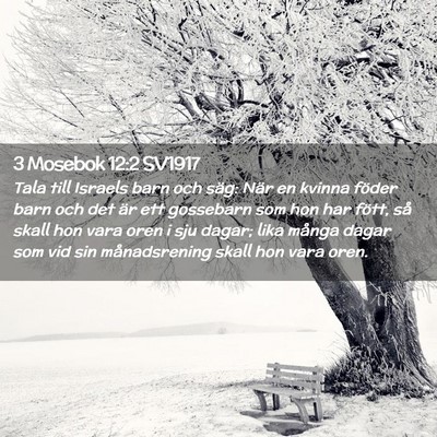 Picture 02 - 3 Mosebok 12:2 SV1917 - Tala till Israels barn och säg: När en kvinna - Bible Verse Picture