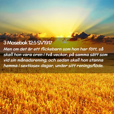 Picture 02 - 3 Mosebok 12:5 SV1917 - Men om det är ett flickebarn som hon har fött, - Bible Verse Picture
