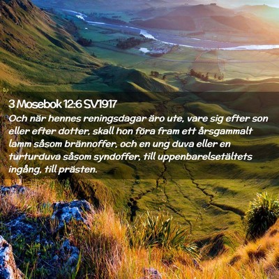 Picture 02 - 3 Mosebok 12:6 SV1917 - Och när hennes reningsdagar äro ute, vare sig - Bible Verse Picture