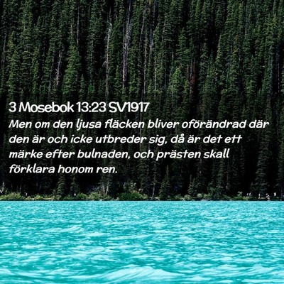 Picture 02 - 3 Mosebok 13:23 SV1917 - Men om den ljusa fläcken bliver oförändrad - Bible Verse Picture