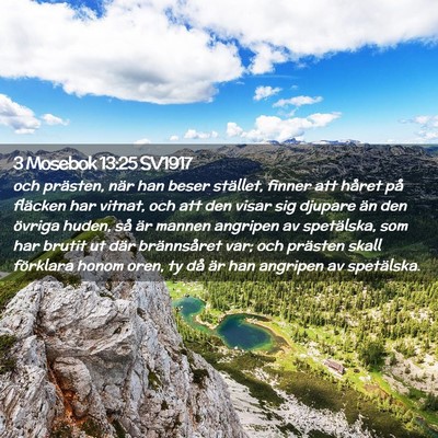 Picture 02 - 3 Mosebok 13:25 SV1917 - och prästen, när han beser stället, finner att - Bible Verse Picture