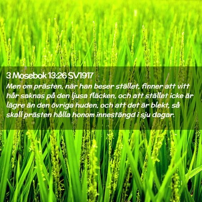 Picture 02 - 3 Mosebok 13:26 SV1917 - Men om prästen, när han beser stället, finner - Bible Verse Picture