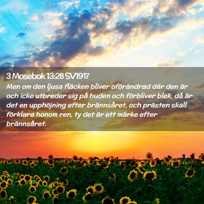 Picture 02 - 3 Mosebok 13:28 SV1917 - Men om den ljusa fläcken bliver oförändrad - Bible Verse Picture