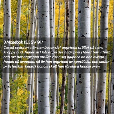 Picture 02 - 3 Mosebok 13:3 SV1917 - Om då prästen, när han beser det angripna - Bible Verse Picture