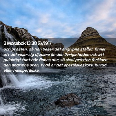 Picture 02 - 3 Mosebok 13:30 SV1917 - och prästen, då han beser det angripna - Bible Verse Picture