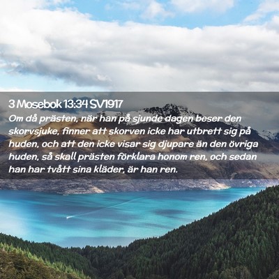 Picture 02 - 3 Mosebok 13:34 SV1917 - Om då prästen, när han på sjunde dagen beser - Bible Verse Picture