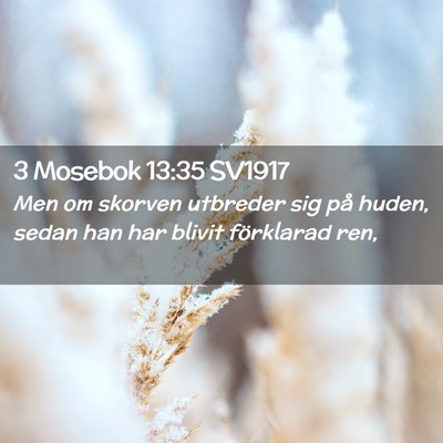Picture 02 - 3 Mosebok 13:35 SV1917 - Men om skorven utbreder sig på huden, sedan han - Bible Verse Picture
