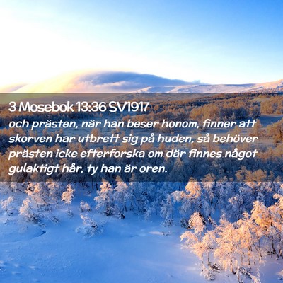 Picture 02 - 3 Mosebok 13:36 SV1917 - och prästen, när han beser honom, finner att - Bible Verse Picture