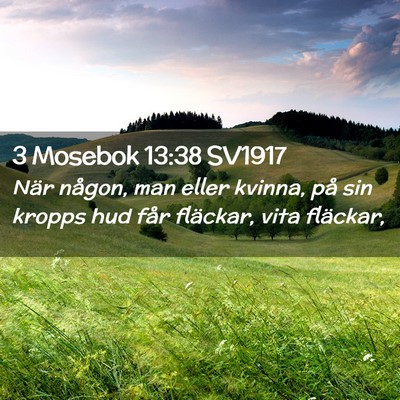 Picture 02 - 3 Mosebok 13:38 SV1917 - När någon, man eller kvinna, på sin kropps hud - Bible Verse Picture