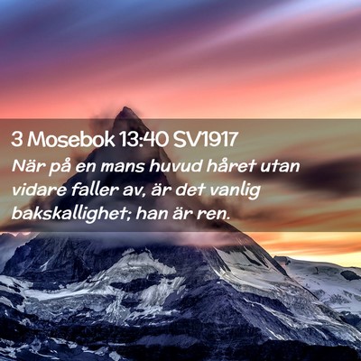 Picture 02 - 3 Mosebok 13:40 SV1917 - När på en mans huvud håret utan vidare faller - Bible Verse Picture
