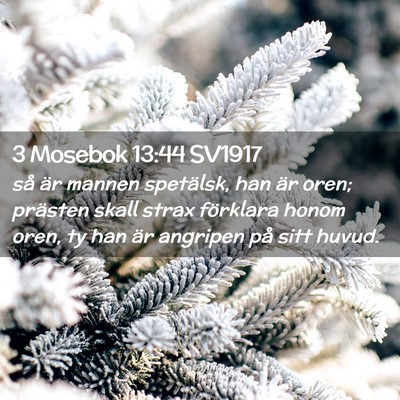 Picture 02 - 3 Mosebok 13:44 SV1917 - så är mannen spetälsk, han är oren; prästen - Bible Verse Picture