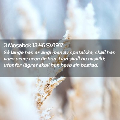 Picture 02 - 3 Mosebok 13:46 SV1917 - Så länge han är angripen av spetälska, skall - Bible Verse Picture