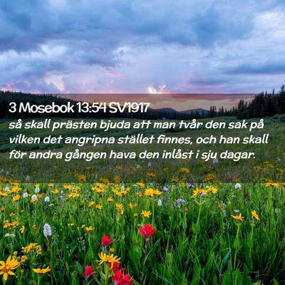 Picture 02 - 3 Mosebok 13:54 SV1917 - så skall prästen bjuda att man tvår den sak - Bible Verse Picture