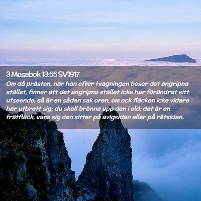 Picture 02 - 3 Mosebok 13:55 SV1917 - Om då prästen, när han efter tvagningen beser - Bible Verse Picture