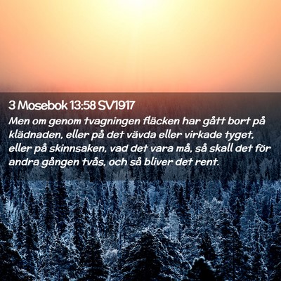 Picture 02 - 3 Mosebok 13:58 SV1917 - Men om genom tvagningen fläcken har gått bort - Bible Verse Picture