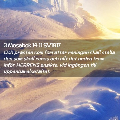 Picture 02 - 3 Mosebok 14:11 SV1917 - Och prästen som förrättar reningen skall - Bible Verse Picture