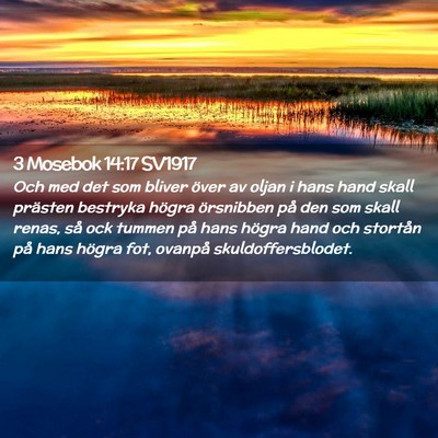 Picture 02 - 3 Mosebok 14:17 SV1917 - Och med det som bliver över av oljan i hans hand - Bible Verse Picture