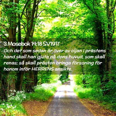 Picture 02 - 3 Mosebok 14:18 SV1917 - Och det som sedan är över av oljan i prästens - Bible Verse Picture