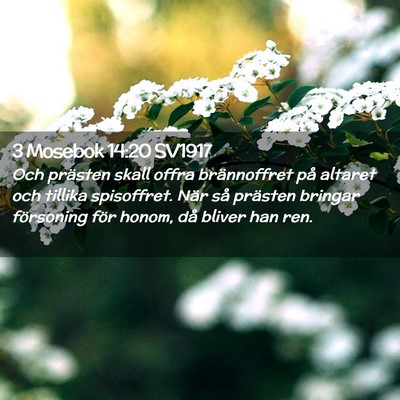 Picture 02 - 3 Mosebok 14:20 SV1917 - Och prästen skall offra brännoffret på altaret - Bible Verse Picture