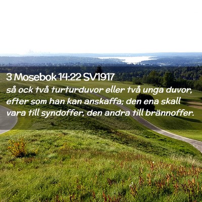 Picture 02 - 3 Mosebok 14:22 SV1917 - så ock två turturduvor eller två unga duvor, - Bible Verse Picture