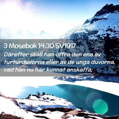 Picture 02 - 3 Mosebok 14:30 SV1917 - Därefter skall han offra den ena av - Bible Verse Picture