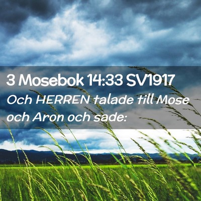 Picture 02 - 3 Mosebok 14:33 SV1917 - Och HERREN talade till Mose och Aron och - Bible Verse Picture