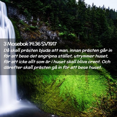 Picture 02 - 3 Mosebok 14:36 SV1917 - Då skall prästen bjuda att man, innan prästen - Bible Verse Picture