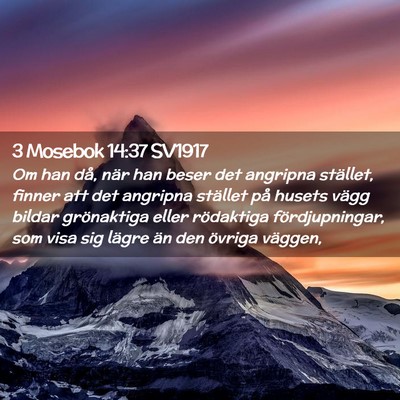 Picture 02 - 3 Mosebok 14:37 SV1917 - Om han då, när han beser det angripna stället, - Bible Verse Picture
