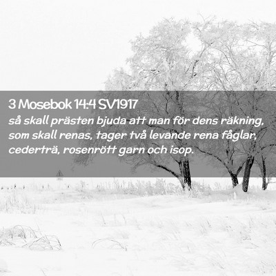 Picture 02 - 3 Mosebok 14:4 SV1917 - så skall prästen bjuda att man för dens - Bible Verse Picture