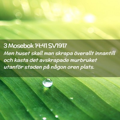Picture 02 - 3 Mosebok 14:41 SV1917 - Men huset skall man skrapa överallt innantill - Bible Verse Picture