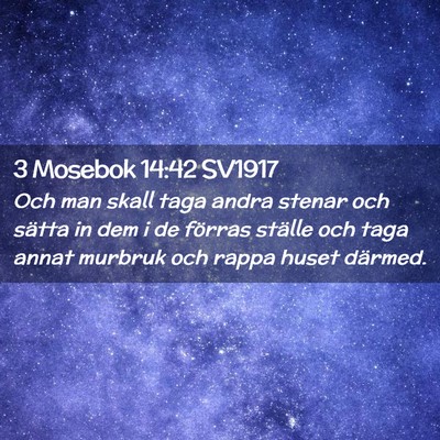 Picture 02 - 3 Mosebok 14:42 SV1917 - Och man skall taga andra stenar och sätta in dem - Bible Verse Picture