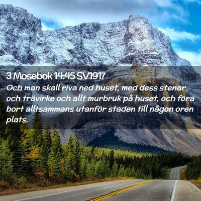 Picture 02 - 3 Mosebok 14:45 SV1917 - Och man skall riva ned huset, med dess stenar och - Bible Verse Picture