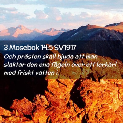 Picture 02 - 3 Mosebok 14:5 SV1917 - Och prästen skall bjuda att man slaktar den ena - Bible Verse Picture
