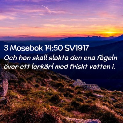 Picture 02 - 3 Mosebok 14:50 SV1917 - Och han skall slakta den ena fågeln över ett - Bible Verse Picture