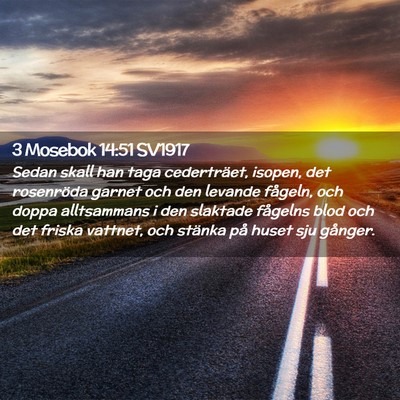 Picture 02 - 3 Mosebok 14:51 SV1917 - Sedan skall han taga cederträet, isopen, det - Bible Verse Picture