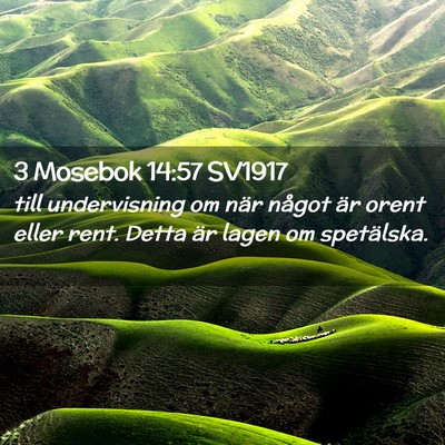Picture 02 - 3 Mosebok 14:57 SV1917 - till undervisning om när något är orent eller - Bible Verse Picture