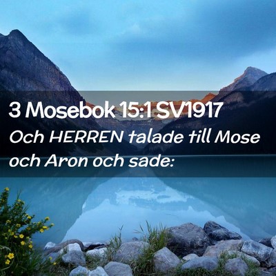 Picture 02 - 3 Mosebok 15:1 SV1917 - Och HERREN talade till Mose och Aron och - Bible Verse Picture
