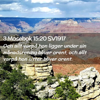 Picture 02 - 3 Mosebok 15:20 SV1917 - Och allt varpå hon ligger under sin - Bible Verse Picture