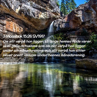 Picture 02 - 3 Mosebok 15:26 SV1917 - Om allt varpå hon ligger, så länge hennes - Bible Verse Picture