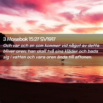 Picture 02 - 3 Mosebok 15:27 SV1917 - Och var och en som kommer vid något av detta - Bible Verse Picture