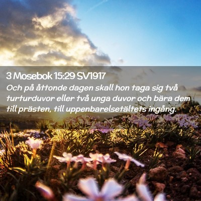 Picture 02 - 3 Mosebok 15:29 SV1917 - Och på åttonde dagen skall hon taga sig två - Bible Verse Picture