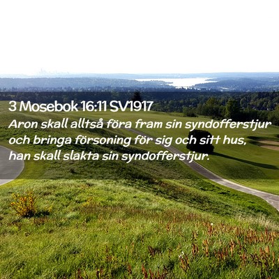 Picture 02 - 3 Mosebok 16:11 SV1917 - Aron skall alltså föra fram sin syndofferstjur - Bible Verse Picture