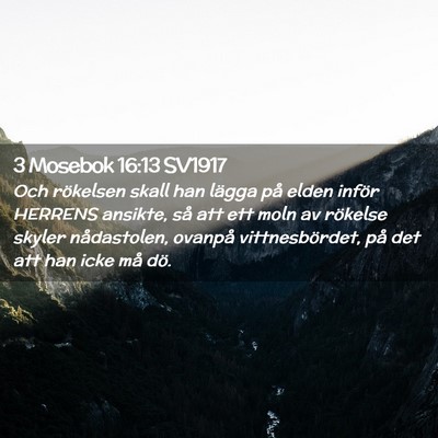 Picture 02 - 3 Mosebok 16:13 SV1917 - Och rökelsen skall han lägga på elden inför - Bible Verse Picture