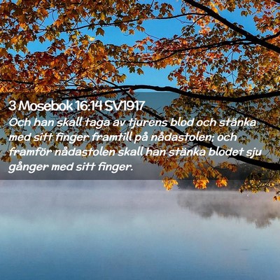 Picture 02 - 3 Mosebok 16:14 SV1917 - Och han skall taga av tjurens blod och stänka - Bible Verse Picture